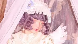 レースとフリルの楽園
