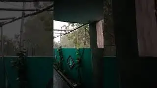 heavy rainfall in Dhanbad