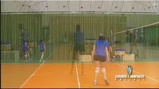 Alzata uscendo da un muro e dopo rice