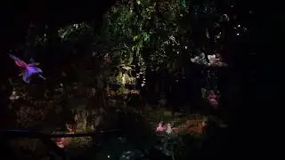 Droomvlucht - Efteling - Onride - 01-01-2026