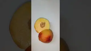 fruit carving ideas #food #youtubeshorts #art #viral #fruitcutting #shorts #fruit #shortvideo