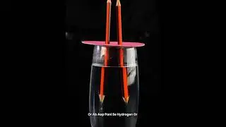 Science ke ajibo garib Experiment #experiment #trending #shorts #science