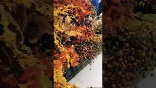 I LOVE!!!!! Hobby Lobby floral selection 🍂🍁❤️  #decor #flowers #hobbylobby #falldecor