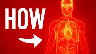 How the Human Body DOES THINGS Science Can&rsquo;t Explain?