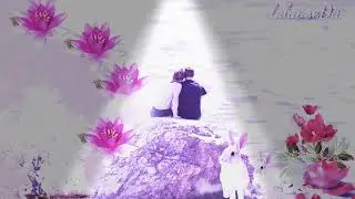 background video new2019