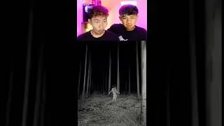 TNTL 🤣 | Часть 529 #попробуйнезасмеяться #смешныевидео #короткометражки