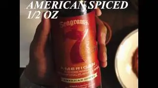 Seagram's 7 Whatever's Handy  Spiced Apple Shot