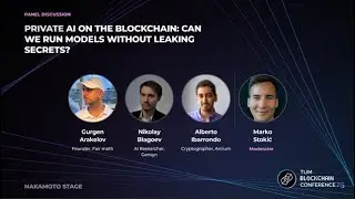 Private AI on the Blockchain (Stokić, Arakelov, Blagoev, Ibarrondo)