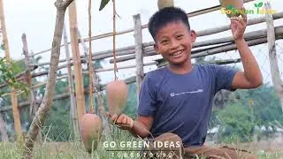 My Mixfruit Plantation || A Message For Tripura Youths ||