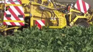 8684 economics agriculture BR Rekordsommer hat Folgen  Schlechte Ernte