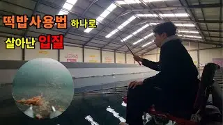 입질이 살아난 진짜 이유, 반응 바꾼 떡밥 사용법