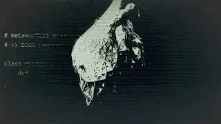 Ex Vacuo - Metamorfosi organica (Official Video)