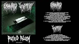 Macabre Pseudothanathopaxic Procedures in the Mortuary Room - Exhaurity & Hematology Split (2025)