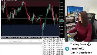Live trading XAUUSD GOLD 24/02/2026
