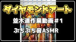 【ASMR】ダイヤモンドアートぷちぷち作業音/Diamond painting