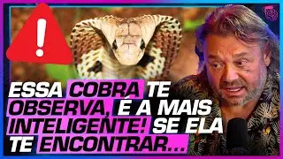 EXPLICANDO o CÉREBRO de uma COBRA - BIÓLOGO HENRIQUE e RICHARD RASMUSSEM