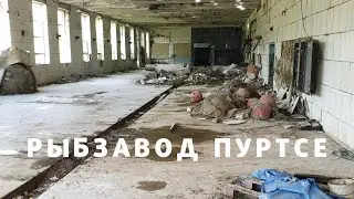 Рыбзавод Пуртсе