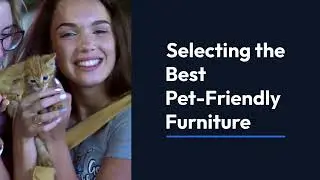 Selecting the best pet-friendly furniture!🐱🐾🛋️
