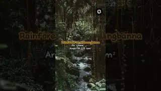 TOP 10 LARGEST FOREST RESERVE IN THE WORLD | Top Blasted