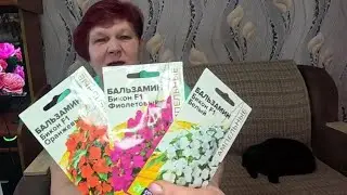 Успейте посеять Редкой Красоты ЦВЕТЫ ДЛЯ ТЕНИСТЫХ УЧАСТКОВ!!