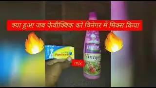 fevikwik vs vinegar