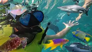 MY DREAM VACATION!!!