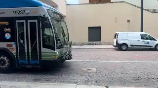 Miami-Dade Transit: 2019 40ft Gillig BRT Plus CNG #19237 On Route 11 @ NW 1st Street & NW 2nd Avenue
