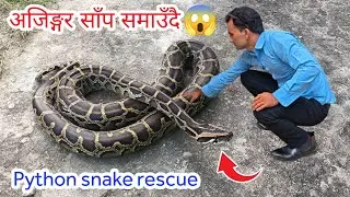 🐍😱 Python Snake Rescue in Nepal