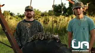 DOVE HUNTING MISSOURI | LIMITING OUT ON OPENING DAY