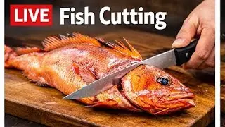 🔴 Live Fish Cutting ASMR | Fresh Seafood Processing from Market | For USA & Europe Viewers
