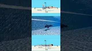 No fins Freediving Training #freediver #kaizenfreediving #freediving