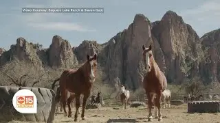 Saguaro Lake Guest Ranch offers adventures in the splendor of nature