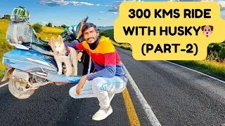 Hyderabad to Nandyal 300 kms bike Ride with Husky Dog🐕| Part-2| #husky #viralvideo #trending #dog