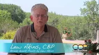Affordable Pool Website Design - Call Us (281) 569-4370 - Choosing Pool Lights