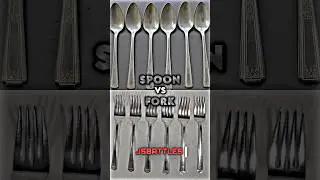 Spoon vs Fork
