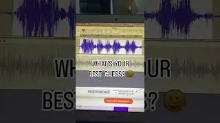 BEST GUESS? 😂
