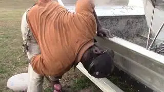 Air boat polish