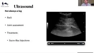 Diagnostic Imaging In Equine Practice Part 1