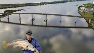 Fishing Stockton NSW - the fish were on!!