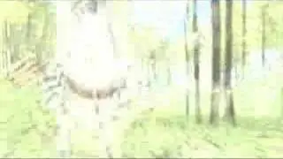 Rappelz music video - so cold