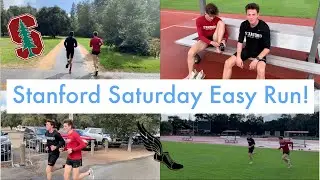 Stanford Saturday Easy Run | VIBEY