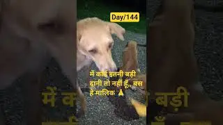 #animal लवर#daily routeine feeding 🙏🙏🙏🙏🙏🙏