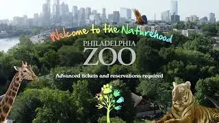 Phila Zoo Curiosity
