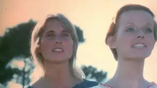 Coca-Cola Video Essay