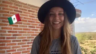 Волонтерство в Мексике / Workaway