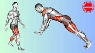 Quiet Apartment Cardio Workout (High Intensity, Low Noise).