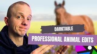 Beastly Brilliance: Pro Tips for Animal Edits in Darktable