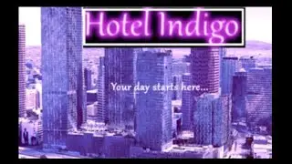 Indigo Bright  Downtown LA  Authentic Youniverse