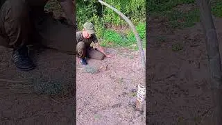 Trap #animals #hunting #survival