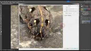 Adobe Creative Cloud Features